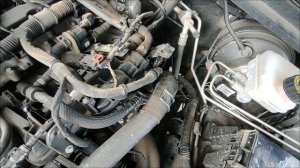 Где номер двигателя на TANK 300(Танк 300) 2 л бензин 22 год