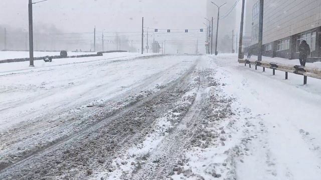 Нас высадили прям на Дамбе! Впереди автобус забуксова?