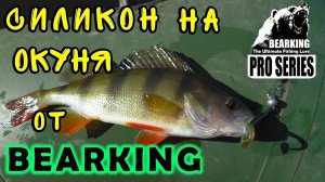 Ловля окуня на силикон от BEARKING. Окунь на спиннинг. Рыбалка 2020. Силикон на окуня от BEARKING