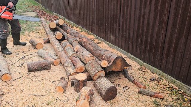 Работа бензопилой Oleo-mac GS650 3.5 кВт. Идёт работа по загот? смотреть онлайн