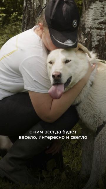 Встречайте Альта — специального гостя фестиваля «Собаки в городе»! смотреть онлайн