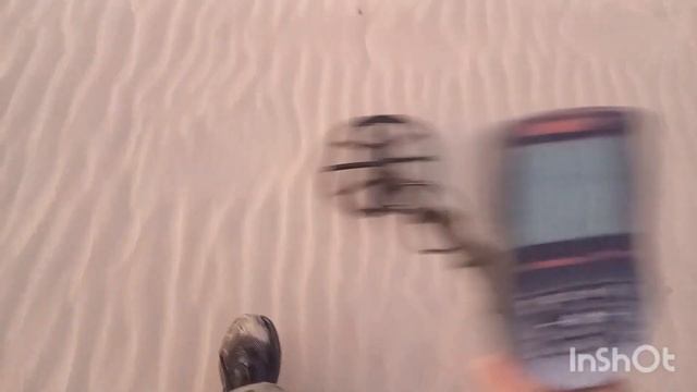 пляжный поиск