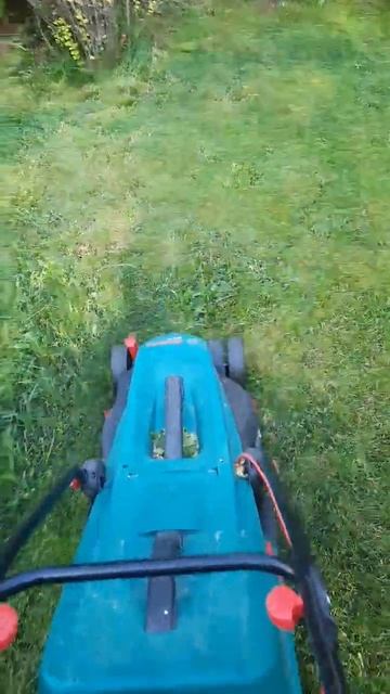 Газонокосилка Bosch - Гелен 5.5 #газонокосилка #газон #bosch смотреть онлайн