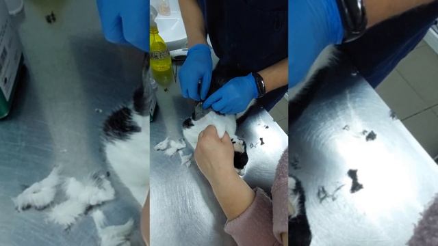 Марк  - боротьба триває  (18+)        [#314]