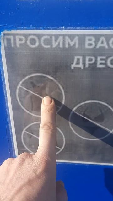 дресс код в столовой...🤣🤣🤣 #shorts #приколы #юмор #вахта смотреть онлайн