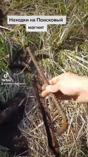 #копатели #металлоискатель #находки #ютуб #история #маг смотреть онлайн