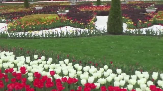 Сборник 14. Музыка Сергея Чекалина. Collection 14. Music by Sergey Chekalin. смотреть онлайн