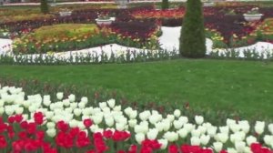 Сборник 14. Музыка Сергея Чекалина. Collection 14. Music by Sergey Chekalin.