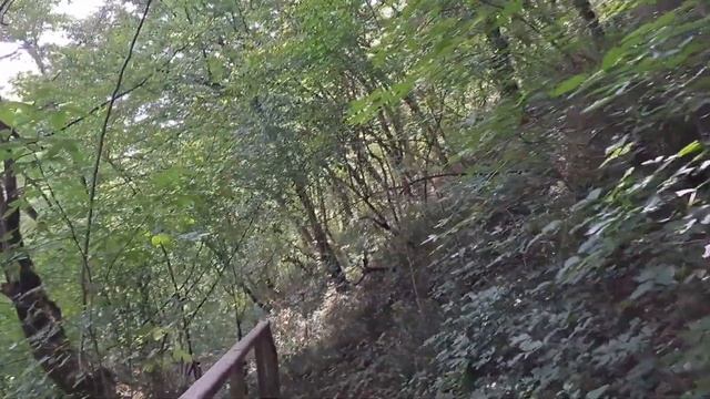 БЕРЕНДЕЕВО ЦАРСТВО  - купить билет это целый квест 😬 Ч