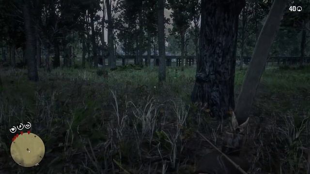 Дневник приключенца 2 / Red Dead Redemption 2