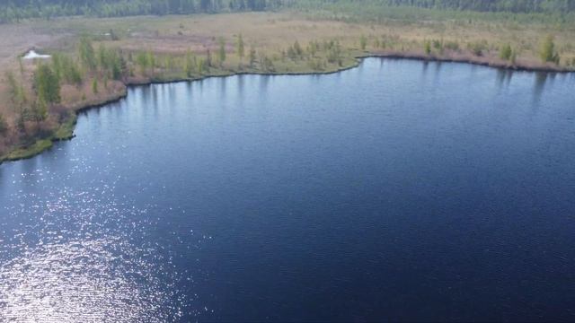 Озеро чёрное (21) смотреть онлайн