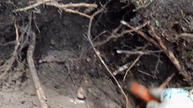 РАСКОПКИ СТАРИННОГО ХУТОРА