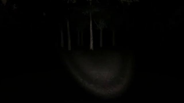 Он не дает собрать записки - Slender The Eight Pages - Прохождение