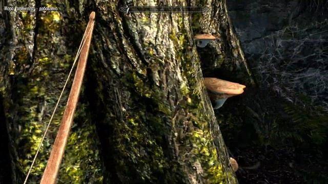The Elder Scrolls V: Skyrim [PC 2011 2K60FPS] - 1. Начало смотреть онлайн