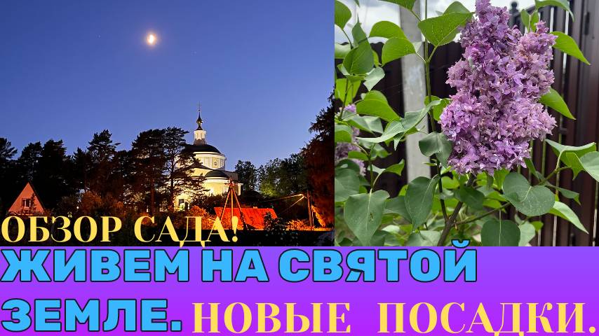 Я ЭТО СДЕЛАЛА.ОБЗОР ДВОРИКА, МОЕ СИРЕНЕВОЕ ДЕРЕВО, НОВЫЕ ЦВЕТНИКИ И ПОСАДКИ