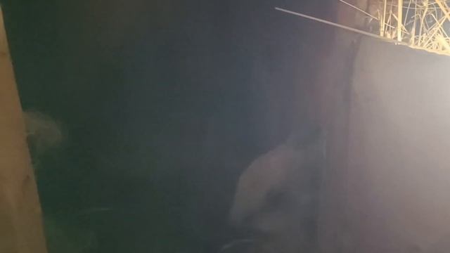 Чищу гнездо у крольчат, доделка карниза, ложная береме