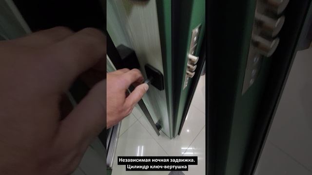 Обзор термодвери Серия Унико с декоративной накладкой на полотне