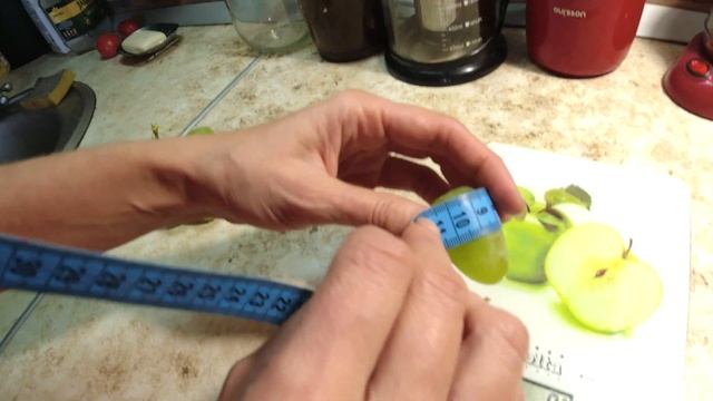 Вот это виноград. Пять штук и горсть