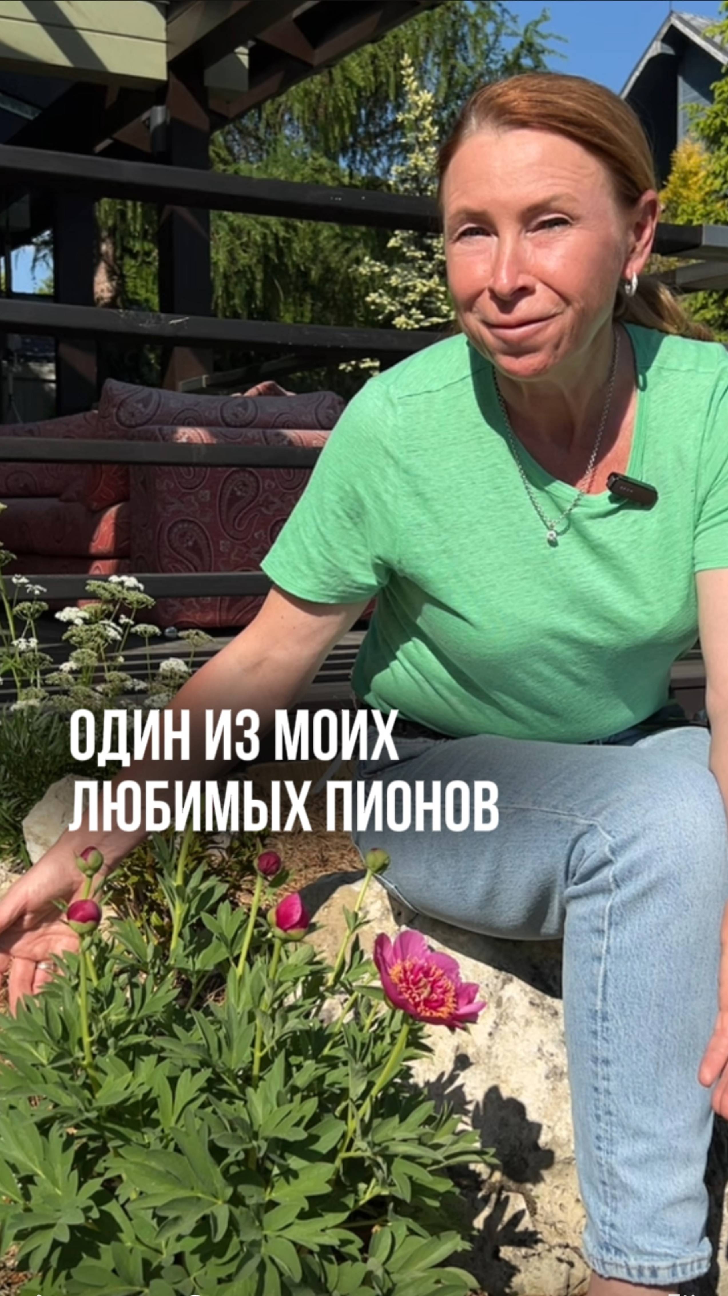 А вы любите пионы? смотреть онлайн