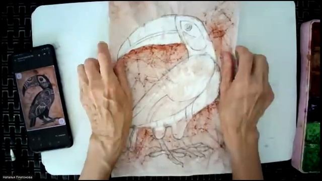 Тукан (графика) смотреть онлайн