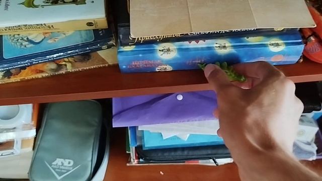 Террария в реальной жизни 77 часть смотреть онлайн