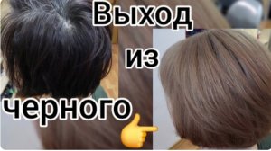 🌈Окрашивание волос. Выход из черного без кислотной смывки😉