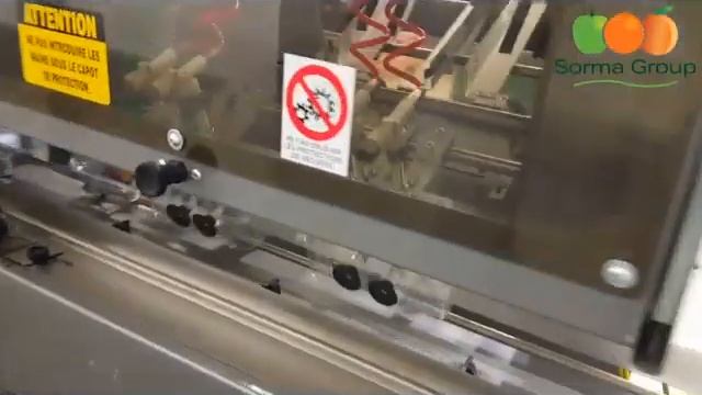 Лінія зважування та пакування томатів, персиків, слив, смотреть онлайн