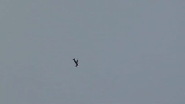 Демонстрационные полеты и выставка авиамоделей в г. Д?