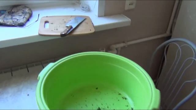 СУШИМ БАЗИЛИК