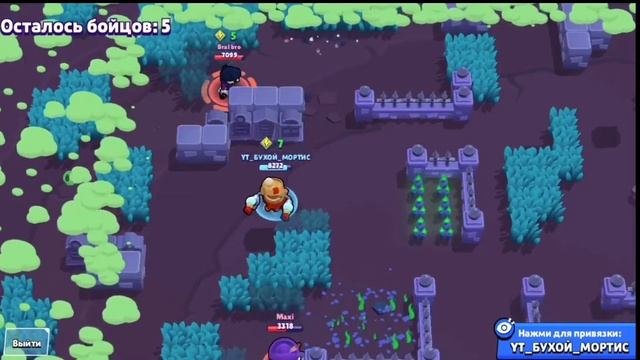 Сколько зарабатывает PetRich за месяц?! смотреть онлайн