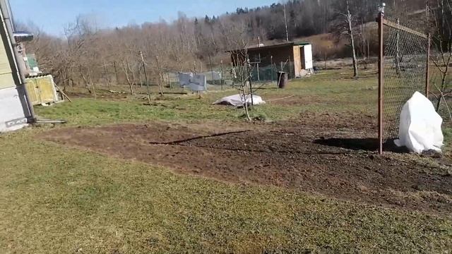 Снежная весна, работы на участке и в доме, занялся дров