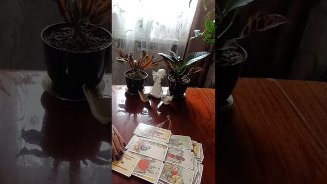 Таро.Новости для вас. смотреть онлайн