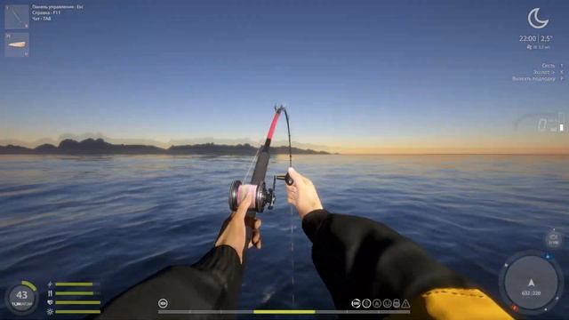 Акула плащеносная, трофей - Русская Рыбалка 4 | Russian Fishing смотреть онлайн