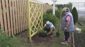 6 соток 2 июня 2025 года. 1 часть