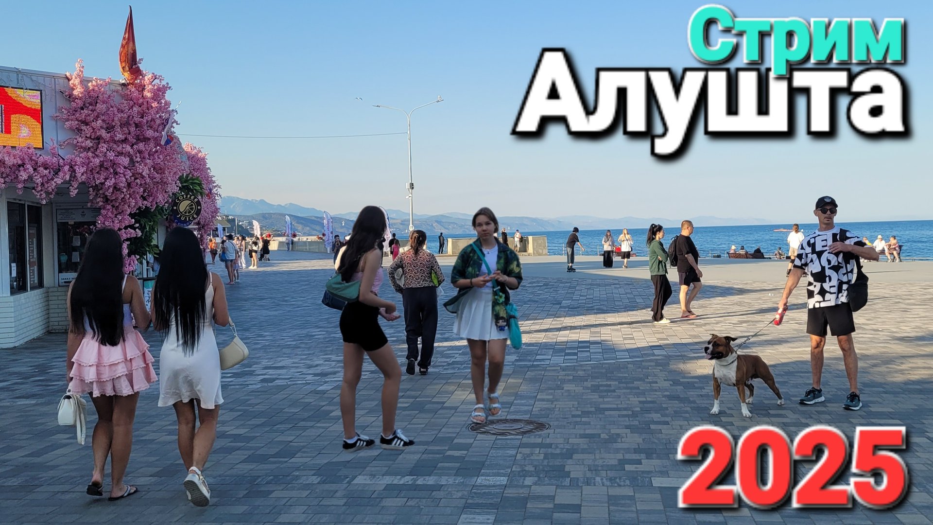 Курорт Алушта  04.06.2025 Самое красивое место в Крыму! Лучшая набережная #стрим