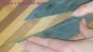 Ферментированный чай из листьев авокадо | просто и вку