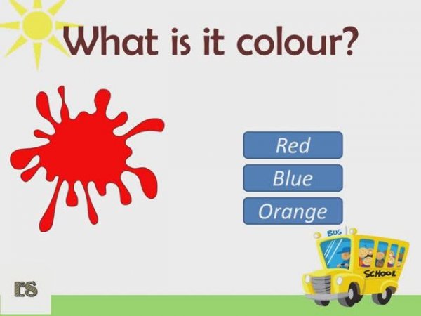 Learn the colours  with fun