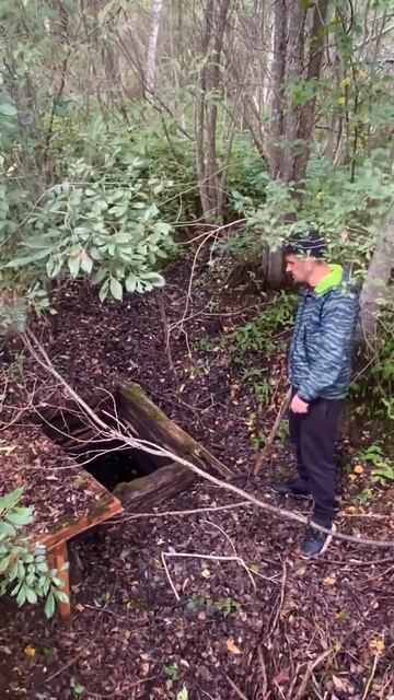 Нашёл в лесу заброшенный колодец. Воду пить не рискнул смотреть онлайн