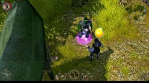 ВОИН ТЕНИ Sacred 2 Хилкоголик