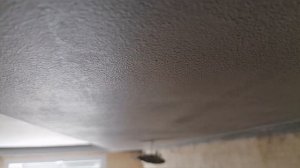 Почему остаются пятна после покраски потолка? Как пок?