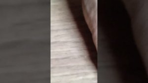 Когда пора и нужно менять щетки на дрели электрическо?