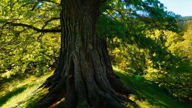 Слушая на юбилее разговор медсестёр, Лиза поняла, что ? смотреть онлайн