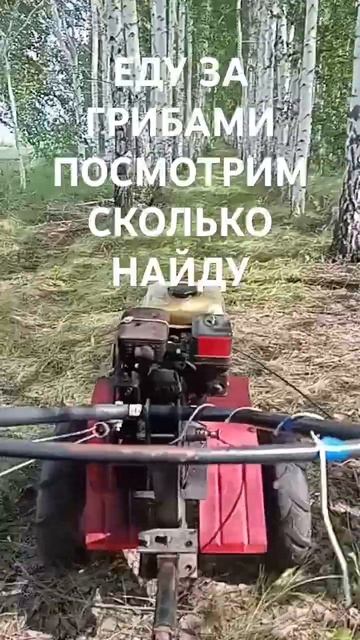 МОТОБЛОК ЭТО ЛУЧШАЯ ТЕХНИКА ДЛЯ ДЕРЕВНИ смотреть онлайн