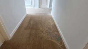 Обзор Vinpearl Condotel Beachfront: Ocean View Grand Studio, бассейн и спа в Ня?