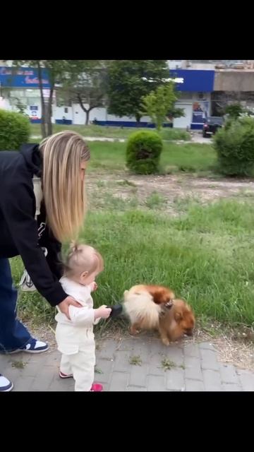 Аня Покров нянчится смотреть онлайн