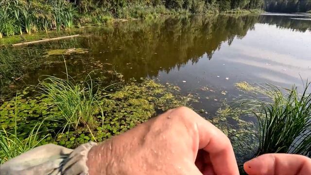 КАРАСЬ НА СПИННИНГ! КОГДА НЕ КЛЮЕТ НА ПОПЛАВОК И В РЕКЕ смотреть онлайн