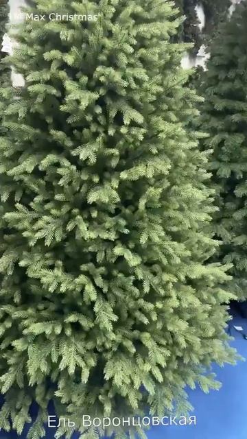 Ель искусственная литая Воронцовская смотреть онлайн