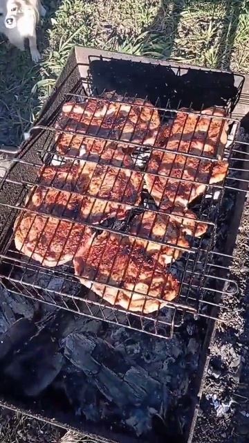 Жарим мясо #блюдоизмяса #шашлык #барбекю #вкусныйужин # смотреть онлайн
