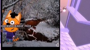 РЕАКЦИЯ НА ТРЁХ КОТОВ ИЗ ЛАЙКА?! На  трёх котов напал МО