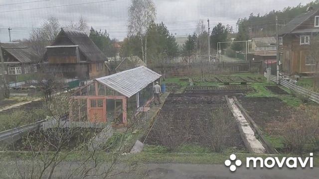 Сколько стоит бензин?🤔Баня! Гнездо!👍 смотреть онлайн